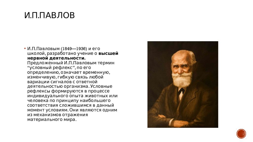 Учение о высшей нервной. И П Павлов. Павлов разработал учение. Учение о ВНД разработал. Учения и.п.Павлова и и.м.Сеченова о высшей нервной деятельности..