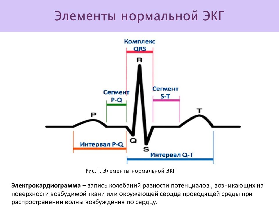 Экг нормальные показатели