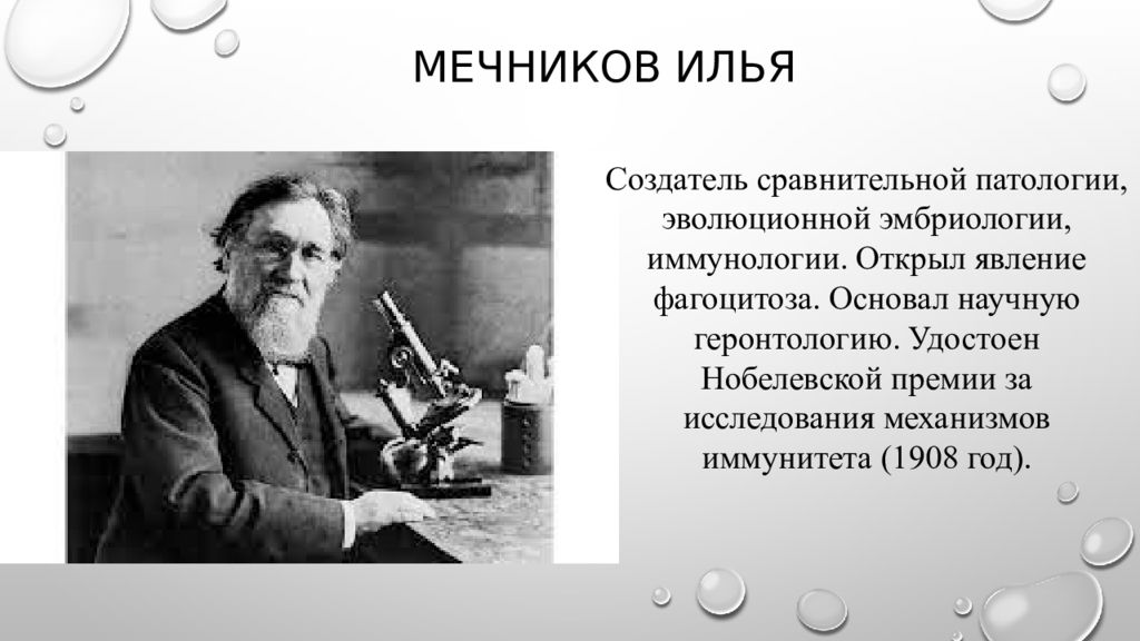 Основал научное направление. Выдающиеся учёные России Мечников.