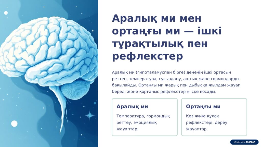 Ми бөлімдері: 7-сынып биологиясы Бұл презентация ми бөліктерінің құрылымы мен