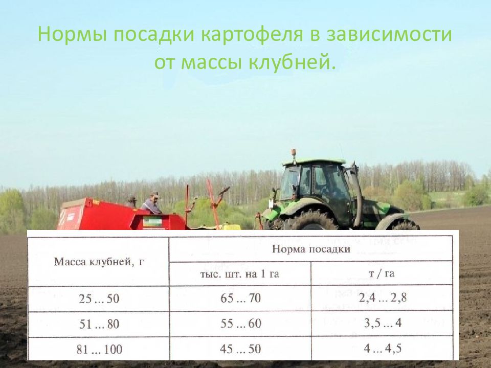 Сроки уборки картофеля. Норма посадки картофеля. Технология возделывания картофеля. Сельхозтехника для возделывания картофеля. Норма высадки л-207.