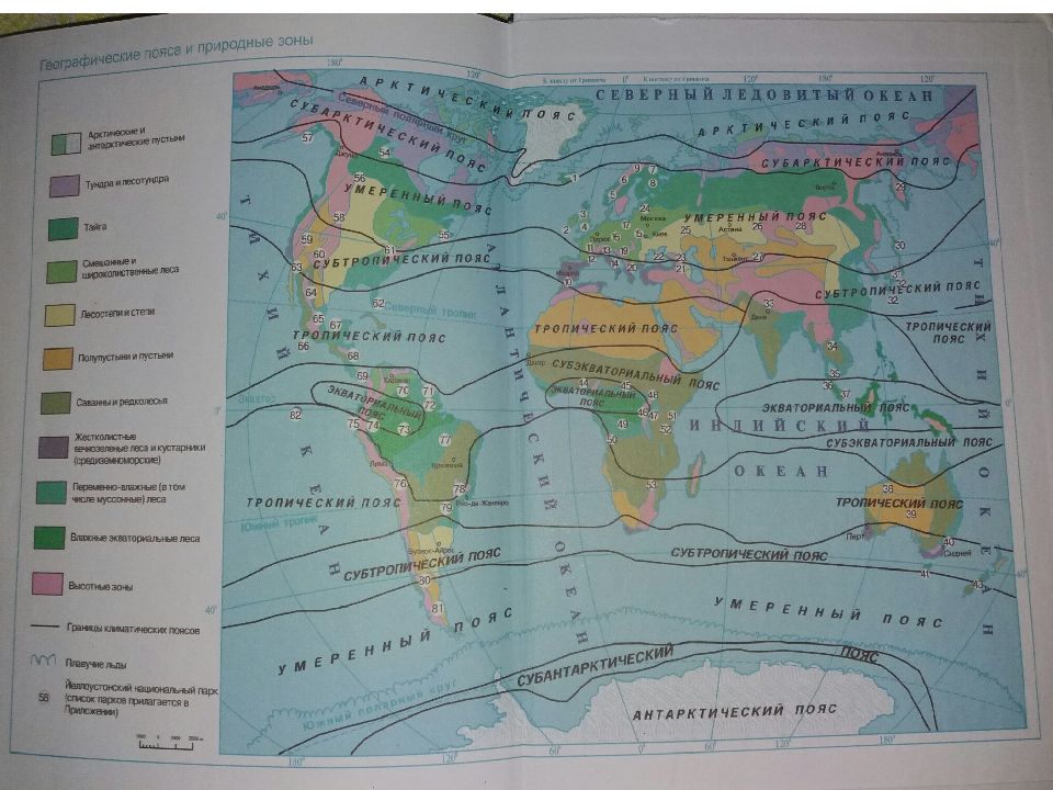Название природных зон 6 класс география. Географическая карта природных зон земли. Материки и природные зоны. Природные зоны континентов.
