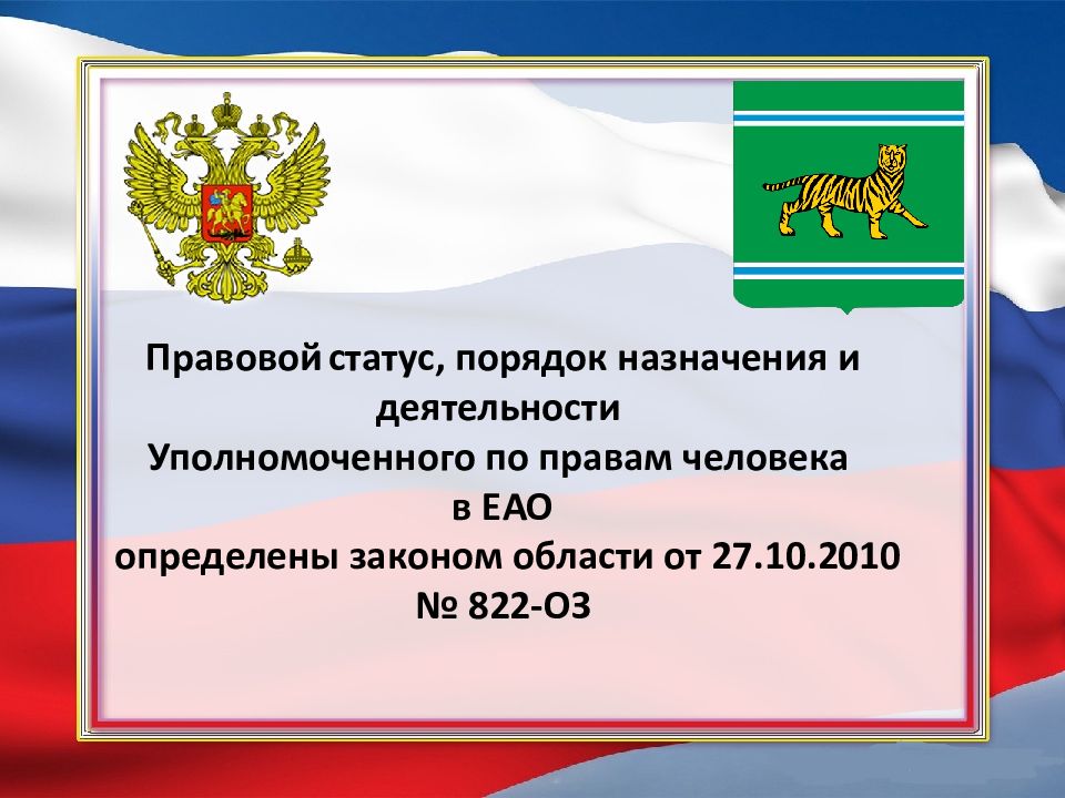 Порядок статус. Уполномоченный по правам человека в ЕАО. Правовой статус и деятельность уполномоченного по правам человека. Правовой статус уполномоченного по правам человека в России.. Порядок назначения уполномоченного по правам человека.