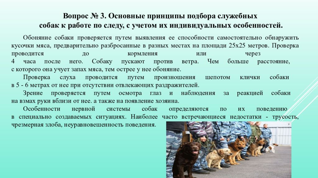 Расскажи принципы. Служебные собаки характеристика. Отбор служебных собак. Методика подготовки служебных собак. Вывод про служебных собак.