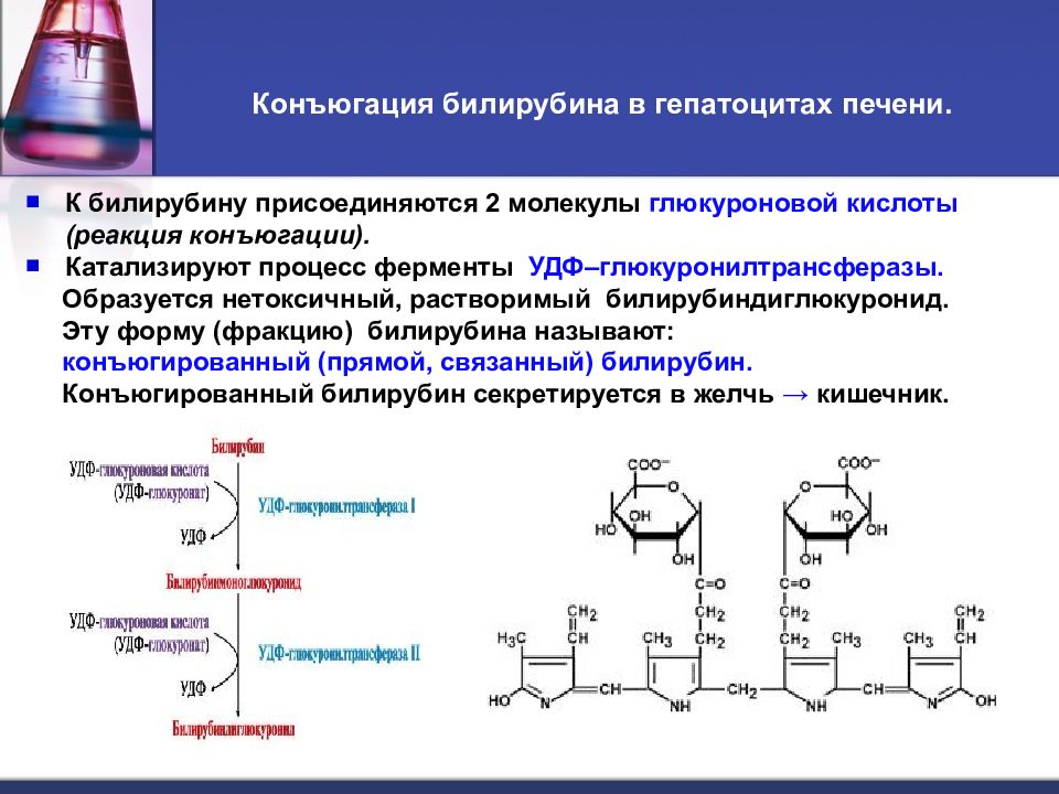 Схема реакции конъюгации билирубина