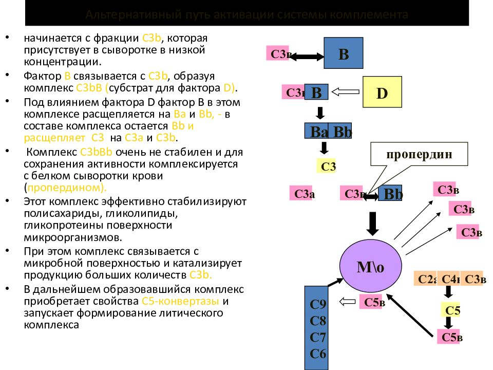 Система комплемента схема