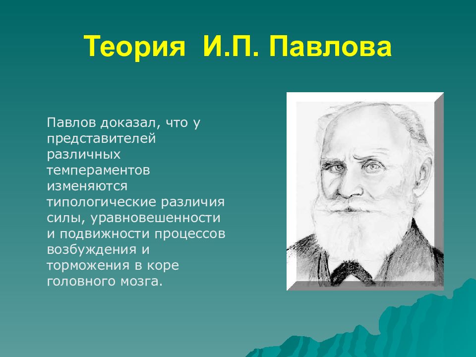 Презентация теория. Теория и п Павлова. И П Павлов психология. Теория Ивана Павлова. Павлов теория.