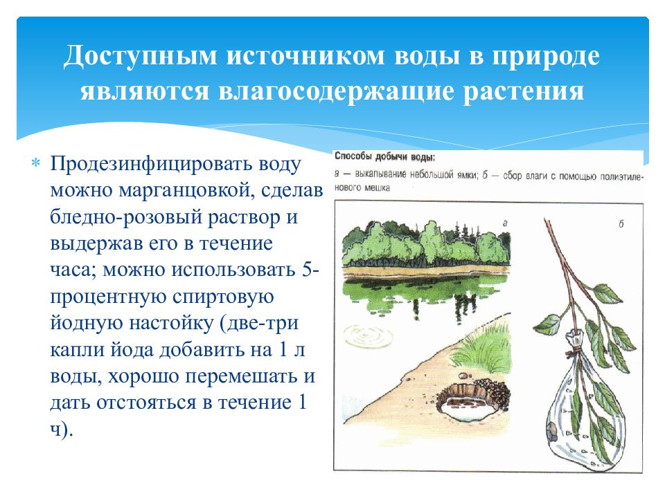 Источники опасности в природной среде. Безопасность в природной среде картинка.