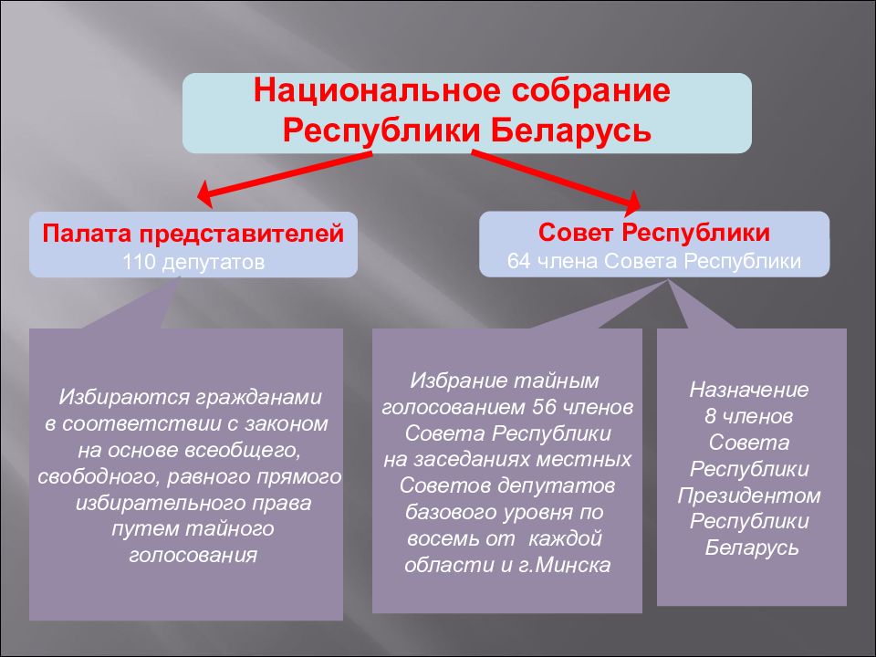 Сколько представителей в совете. Национальное собрание структура. Структура национального собрания Республики Беларусь. Структура парламента РБ. Структура и функции совета Республики РБ.