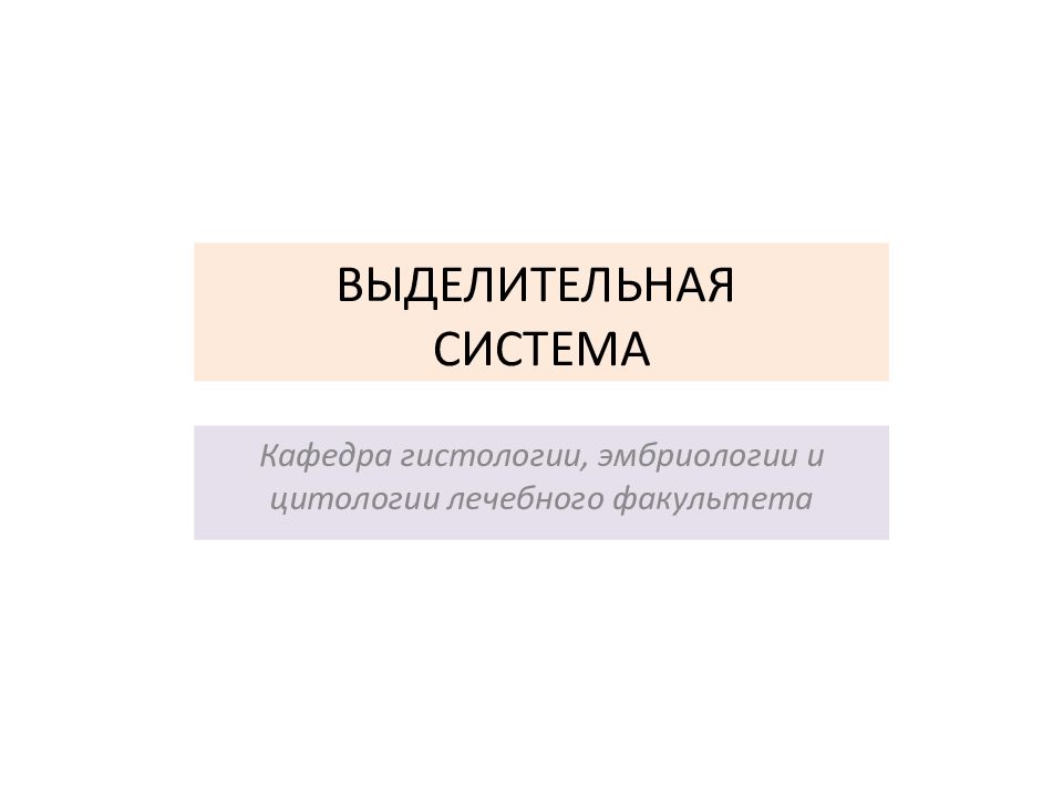 ВЫДЕЛИТЕЛЬНАЯ СИСТЕМА Кафедра гистологии, эмбриологии и цитологии лечебного