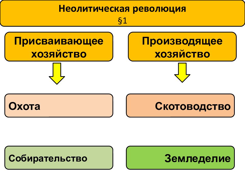 Схема производящее хозяйство