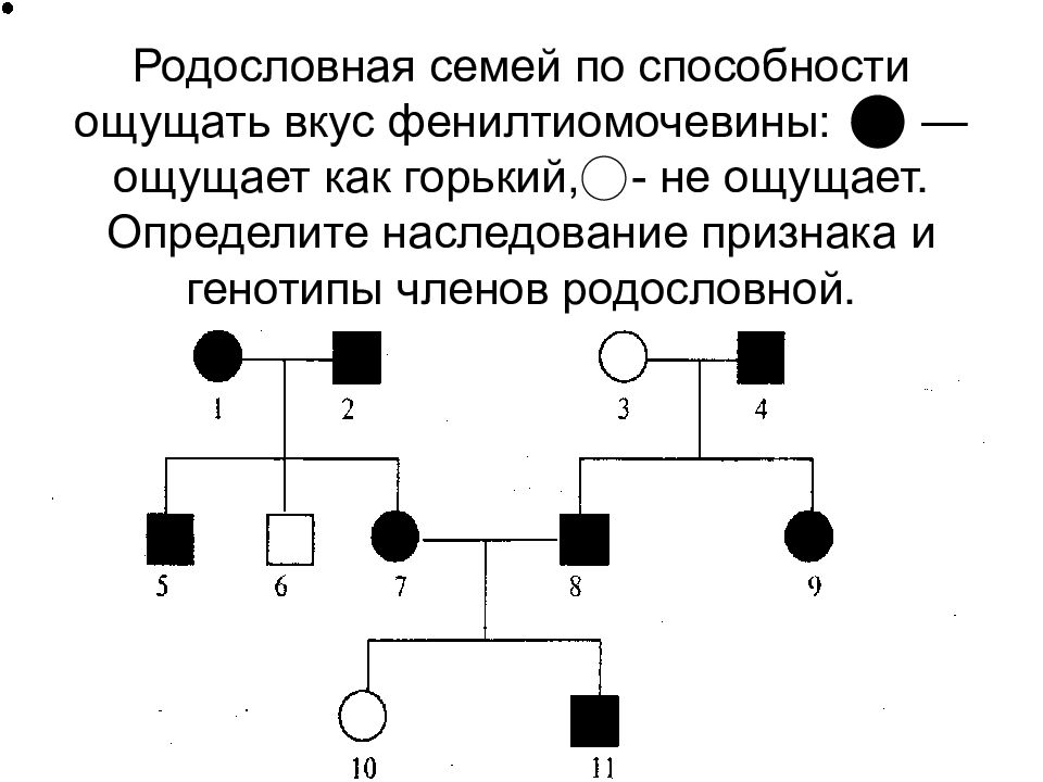 Изучите схему и определите тип наследования признака поясните определите генотипы 1234