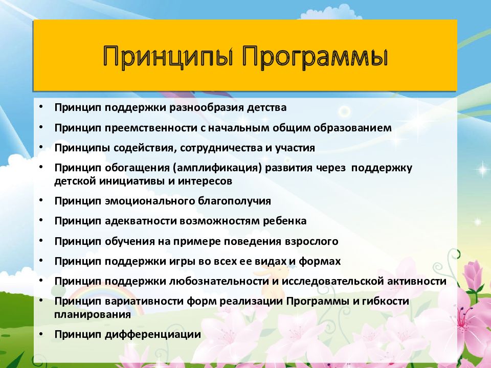 Принципы Программы