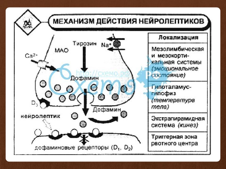 Механизм действия антипсихотиков. Антипсихотические средства механизм действия фармакология. Механизм действия типичных нейролептиков. Схема действия нейролептиков. Механизм действия нейролептиков фармакология схема.