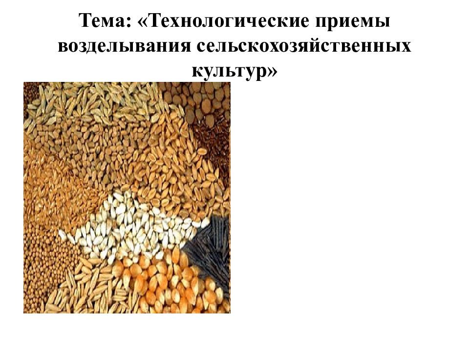 Тема: «Технологические приемы возделывания сельскохозяйственных культур»
