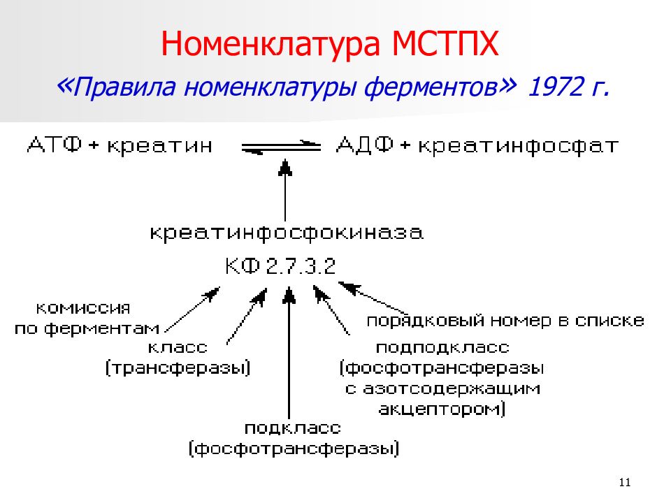 Правила номенклатуры. Рациональная номенклатура ферментов. Систематическая номенклатура ферментов. Номенклатура ферментов биохимия. Международная классификация и номенклатура ферментов.