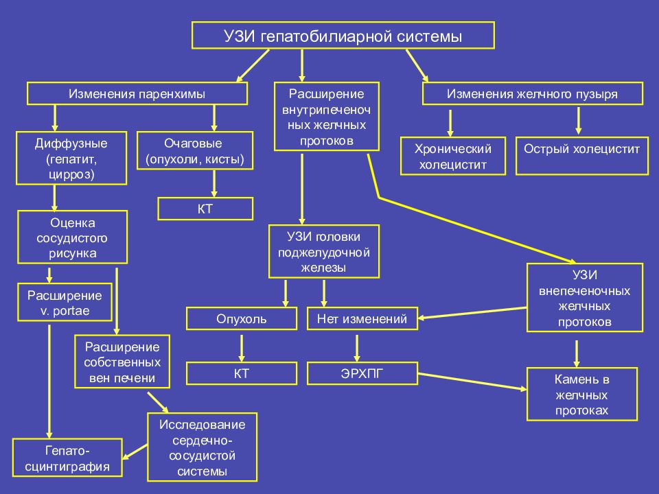 Узи системы. Гепатобилиарная система УЗИ. УЗИ органов гепатобилиарной системы. Ультразвуковое исследование органов гепатобилиарной системы это. Нормы УЗИ гепатобилиарной системы.