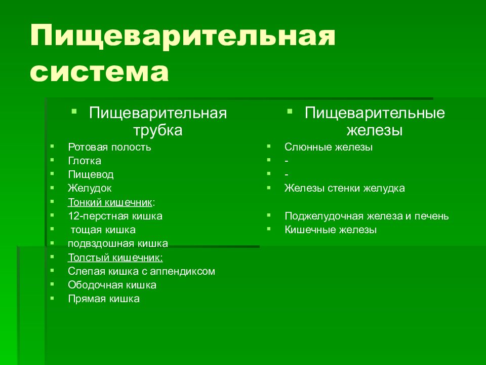 Основные симптомы заболевания ЖКТ. Болезни органов ЖКТ симптомы. Общие симптомы заболеваний ЖКТ. ЖКТ признаки нарушения.