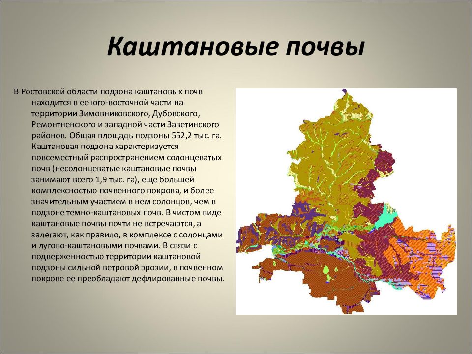 Презентация на тему каштановые почвы