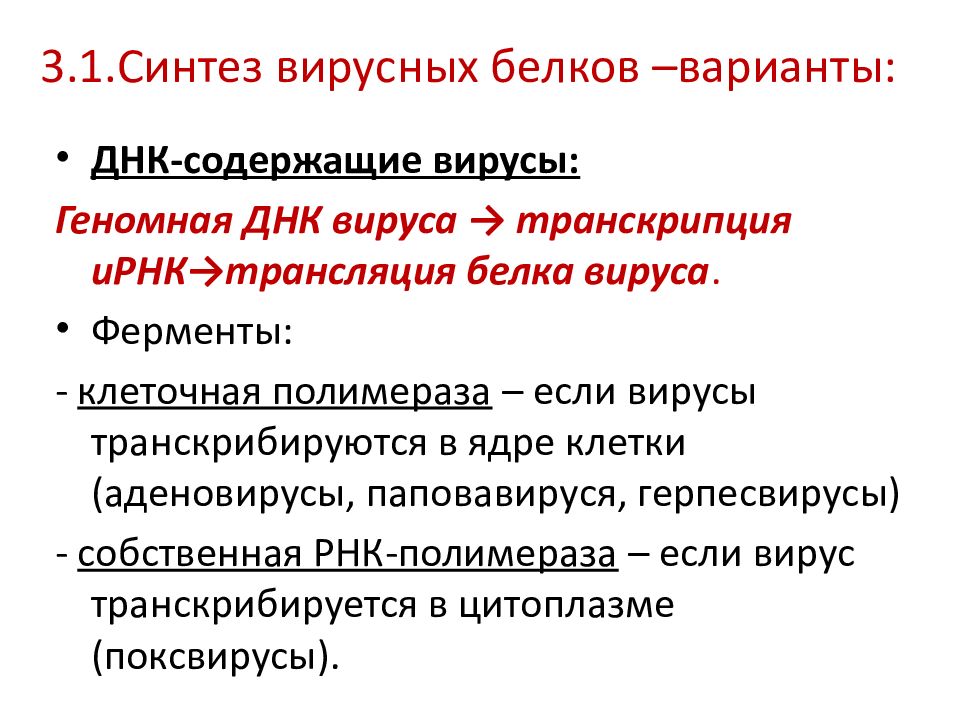 Синтез вирусных белков