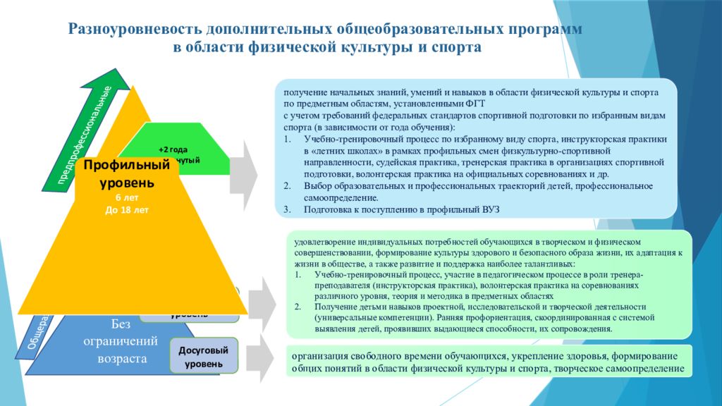 Программа дополнительного образования физкультурно спортивного направленности. Физкультурно-спортивное направление дополнительного образования. Методики дополнительного образования спортивной направленности.