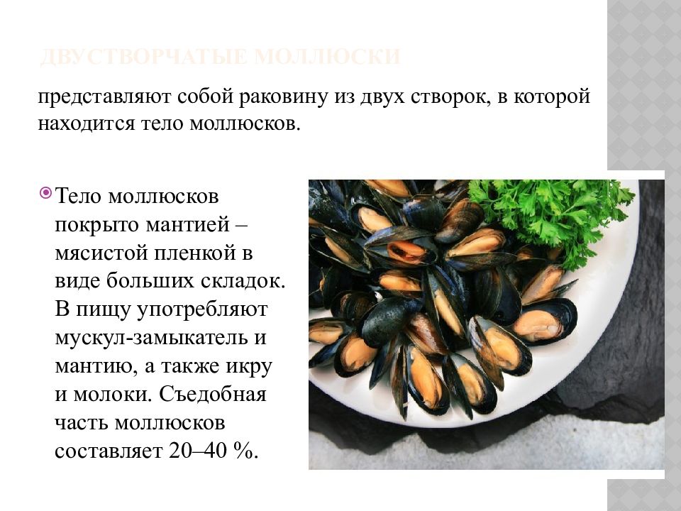 Виды хранения рыбы и нерыбного водного сырья