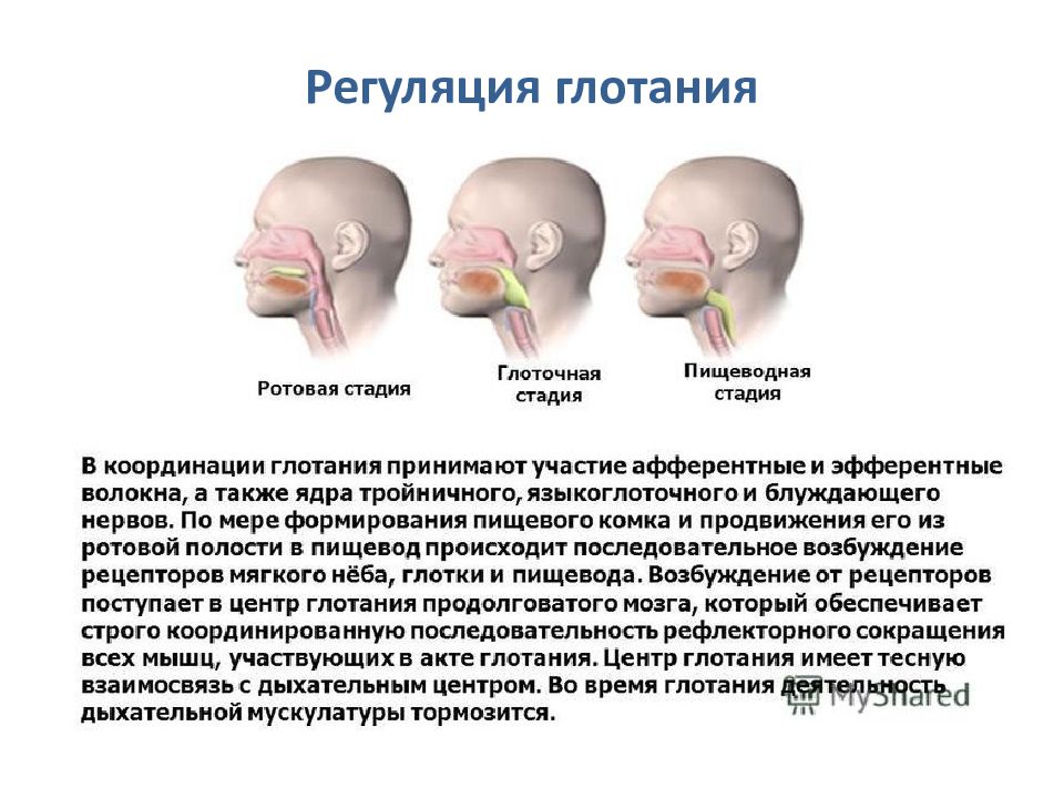 Бульбарный синдром презентация