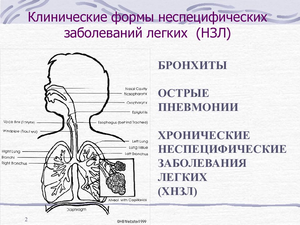 Болезни органов дыхания у детей презентация