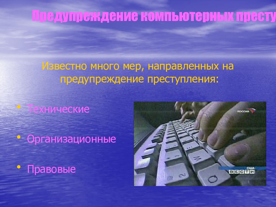 Презентация компьютерная преступность и компьютерная безопасность