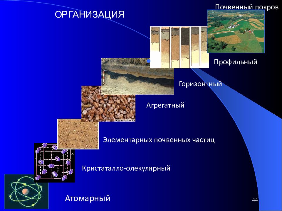 Почва покров. Мозаичность почвенного Покрова. Уровни структурной организации почвы. Структурная организация почвы. Уровни почвы.