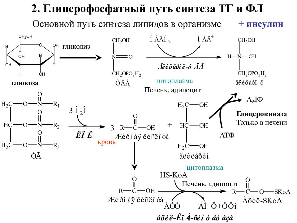 Синтез таг