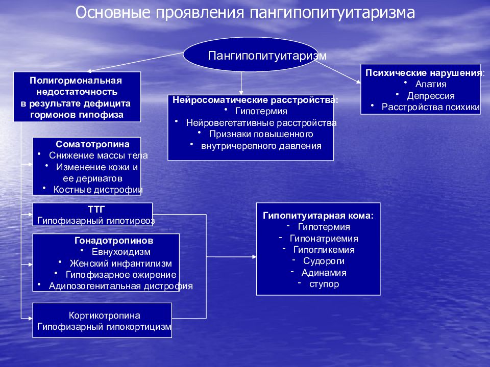 Патология эндокринной системы патофизиология презентация