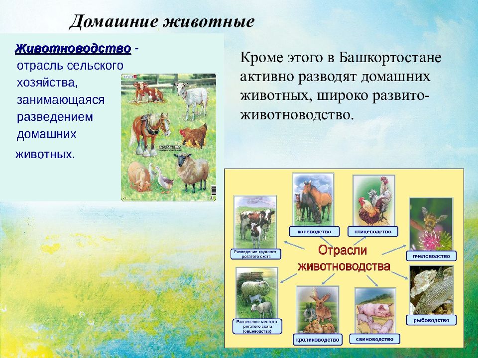 Презентация красная книга башкортостана животные