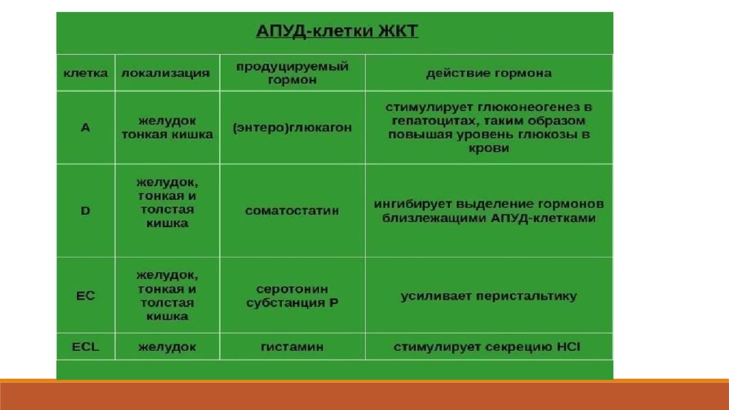 Апуд система гистология