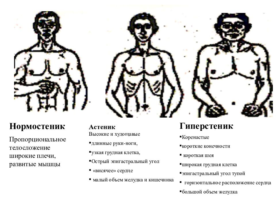 Астеник. Типы фигур астеник нормостеник гиперстеник. Астеник нормостеник гиперстеник. Тип сложения нормостеник. Нормостеник астеник гиперстеник характеристика.
