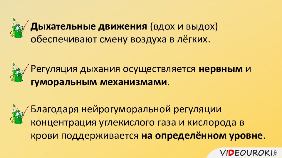 Дыхательные движения регуляция дыхания презентация 8 класс