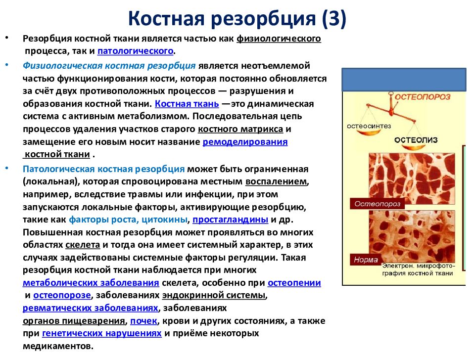 Гормон усиливающий резорбцию костной ткани. Ремоделирование костной ткани резорбция. Механизм резорбции кости остеокластами.