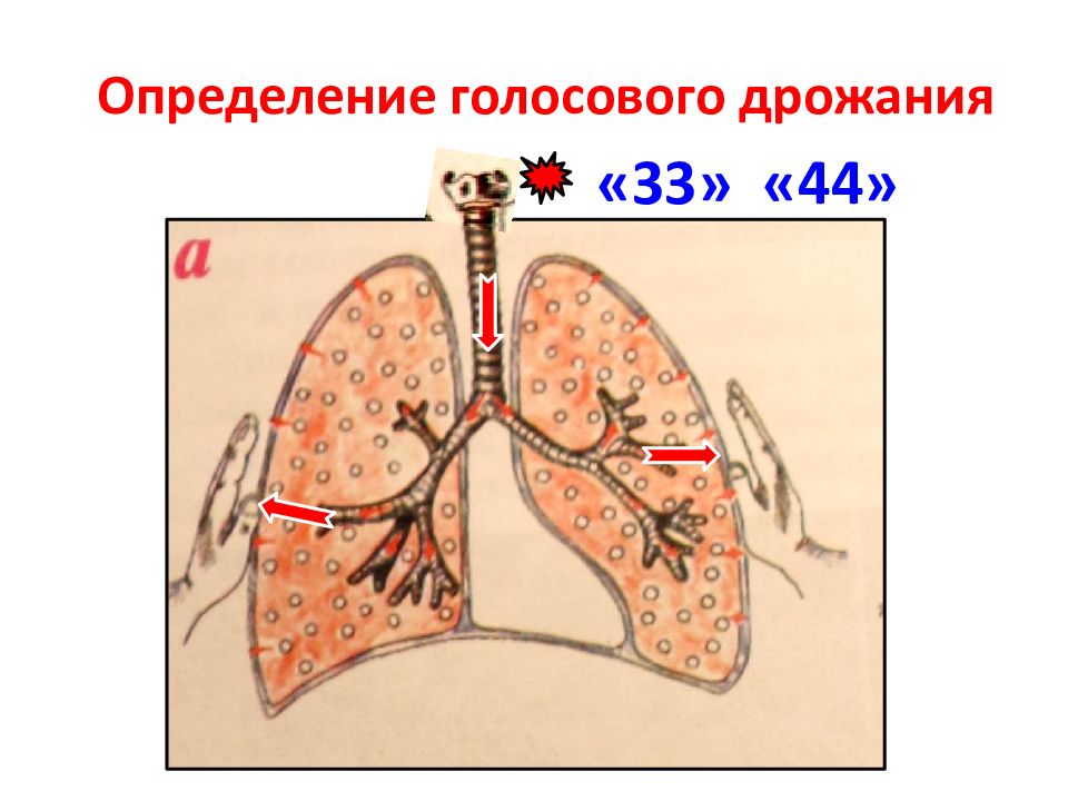 19 измерение