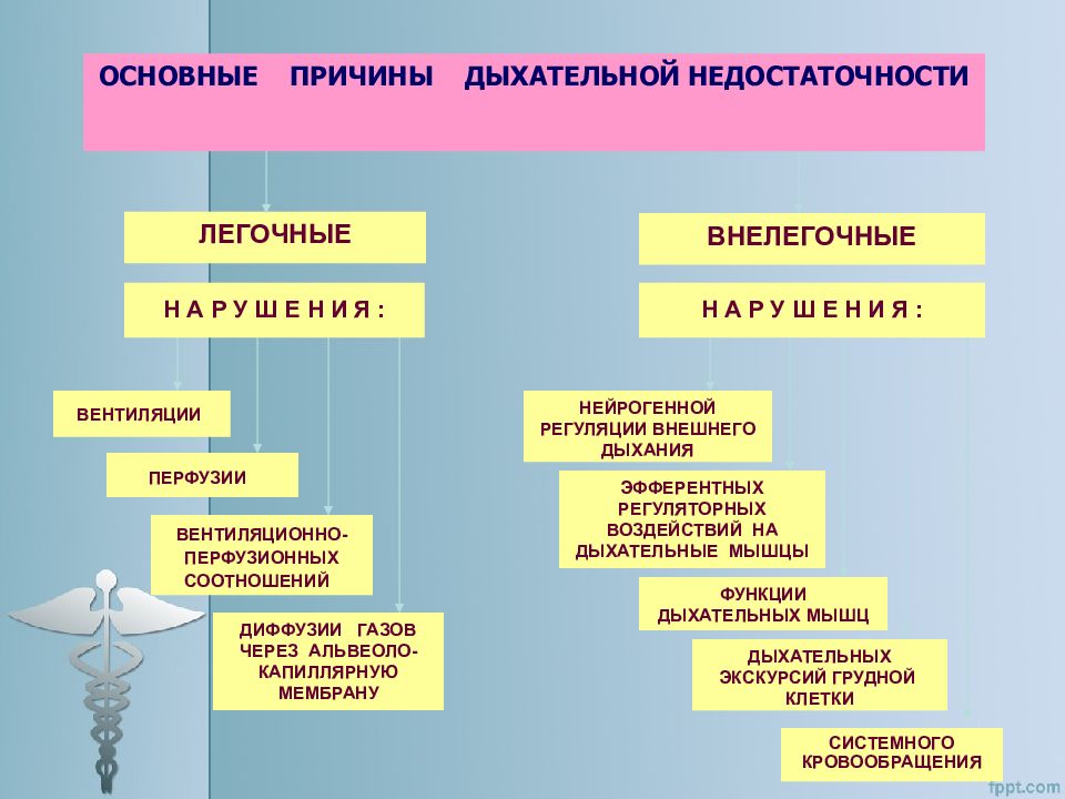 Дыхательная недостаточность патофизиология презентация