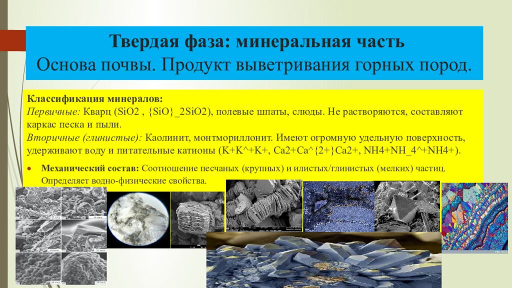 Твердая фаза: минеральная часть Основа почвы. Продукт выветривания горных пород.