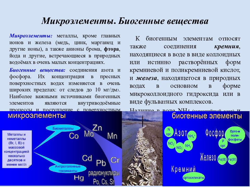 Биогенные элементы картинки