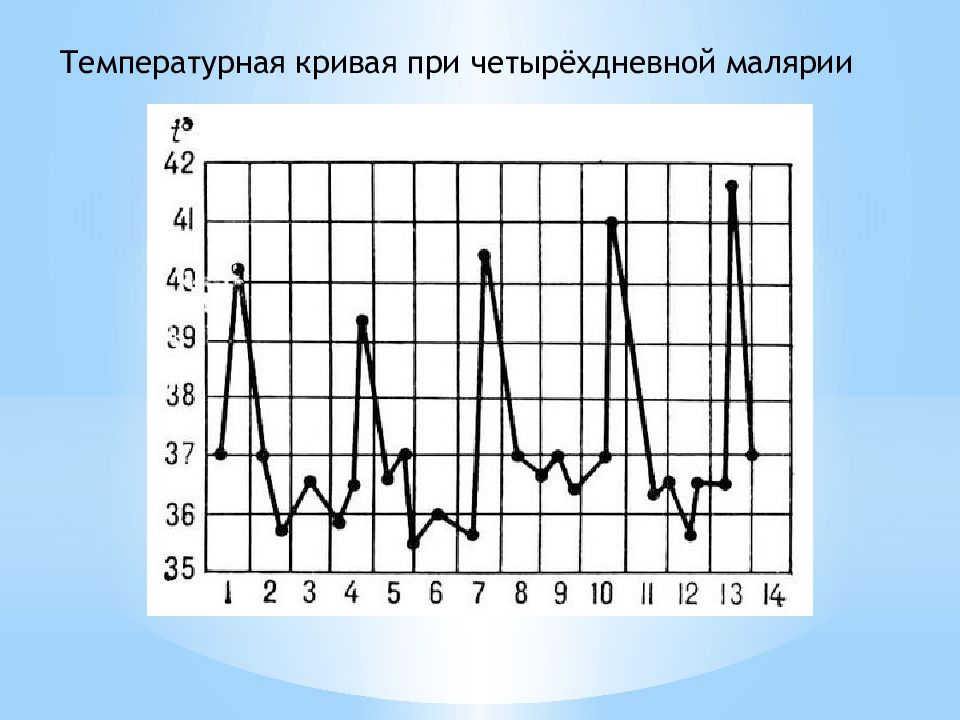 Назовите тип температурной кривой которая изображена на рисунке