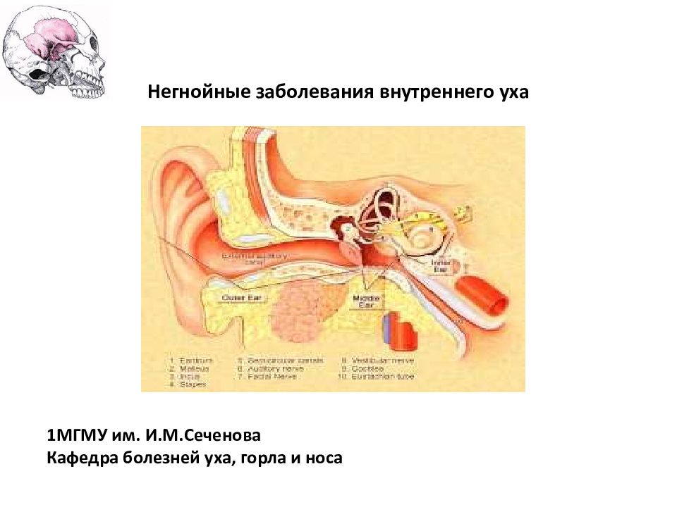 Заболевания внутреннего уха презентация