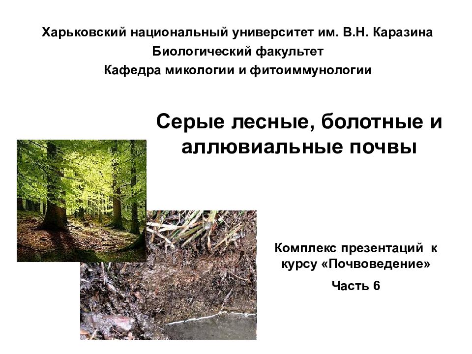 Серые лесные, болотные и аллювиальные почвы Харьковский национальный