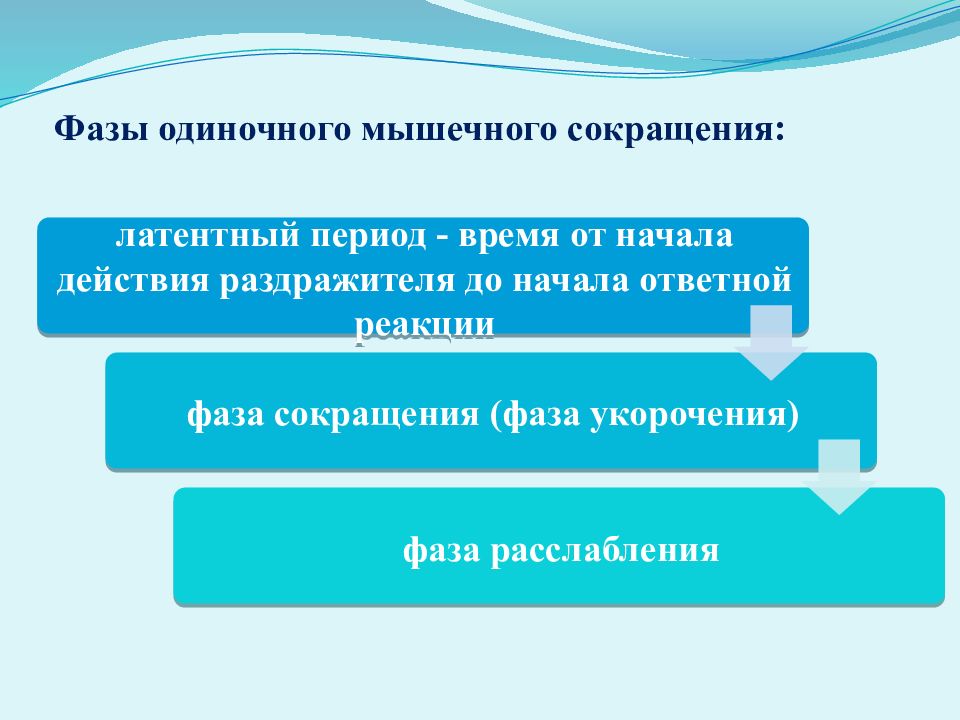 Презентация на тему физиология возбудимых тканей