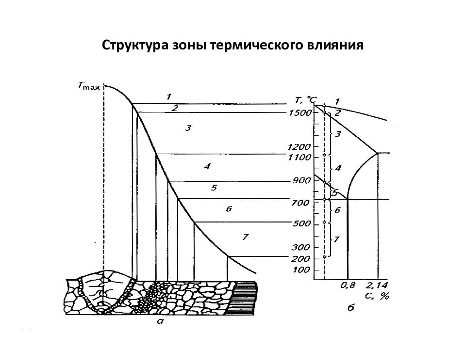 Строение зоны