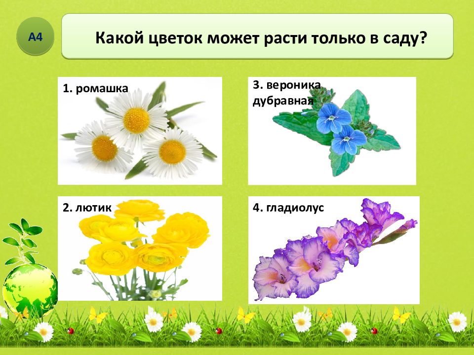 Дикорастущие и культурные растения 2 класс презентация