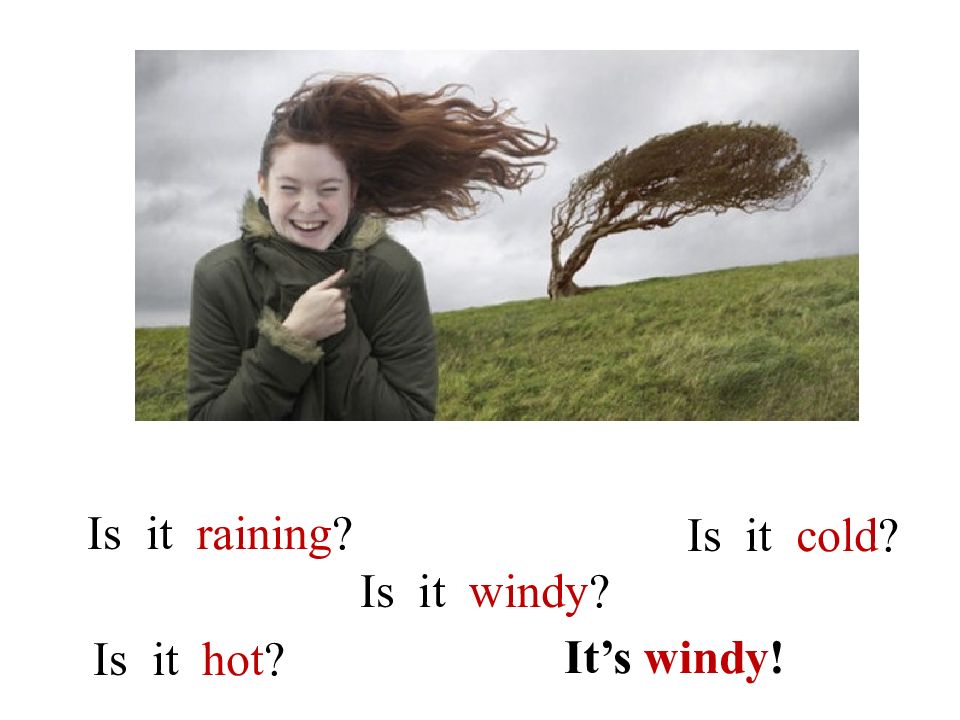 It s windy презентация