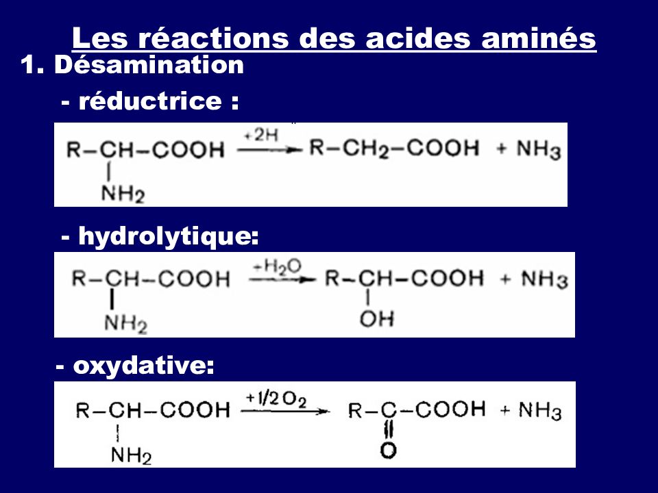 Реакция d n. Reaction of amines. Reaction de methanithiol et ethanol. Бутилфенилфталат Inci. Формирование d'acides uronices.