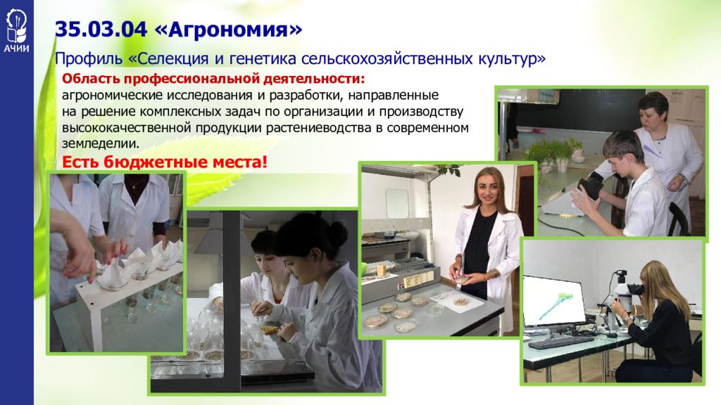 Ачии спо